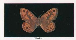 1935 Abdulla British Butterflies #17 Wall Front