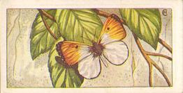 1959 Mitcham Maid Cheeses Butterflies and Moths #10 