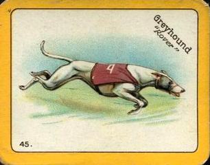 1926 Carreras The Grayhound Racing Game (Large) #45 Greyhound Front