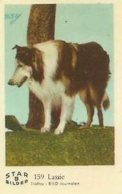 1962 Dutch Gum Star Bilder B #159 Lassie Front