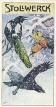 1906 Stollwerck Album 9 Gruppe 370 Der Paradiesvogel (The Bird of Paradise) #1 Das Ratskollegium Front