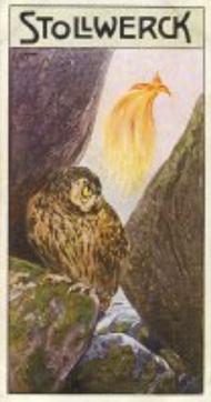 1906 Stollwerck Album 9 Gruppe 370 Der Paradiesvogel (The Bird of Paradise) #6 Die dankbaren Vogel Front