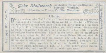 1899 Stollwerck Album 3 Gruppe 105 Wald-Laubbäume (Deciduous Forest Trees) #2 Ulme Back