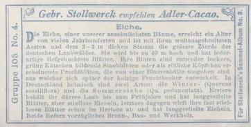 1899 Stollwerck Album 3 Gruppe 105 Wald-Laubbäume (Deciduous Forest Trees) #4 Eiche Back