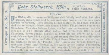 1899 Stollwerck Album 3 Gruppe 105 Wald-Laubbäume (Deciduous Forest Trees) #6 Birke Back