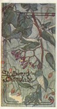 1899 Stollwerck Album 3 Gruppe 112 Giftige Pflanzen (Toxic Plants) #5 Nachtschatten Front