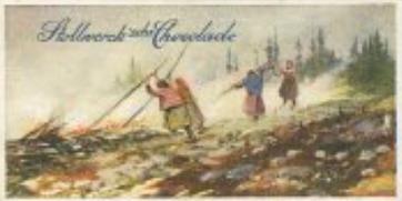 1899 Stollwerck Album 3 Gruppe 116 Bild aus Lappland (Pictures of Lapland) #5 Moorbrennen Front