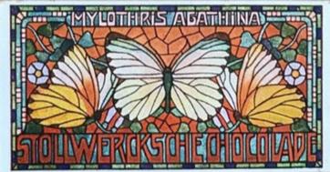 1900 Stollwerck Album 4 Gruppe 159 Ausländische Schmetterlinge (Foreign Butterflies) #5 Mylothris agathina Front