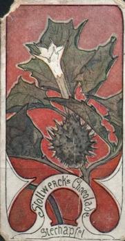 1900 Stollwerck Album 4 Gruppe 171 Giftige Pflanzen II (Poisonous Plants II) #3 Stechapfel Front