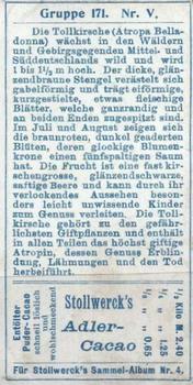 1900 Stollwerck Album 4 Gruppe 171 Giftige Pflanzen II (Poisonous Plants II) #5 Tollkirsche Back