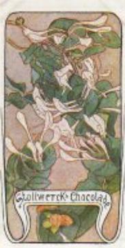 1900 Stollwerck Album 4 Gruppe 172 Zier-Sträucher (Ornamental shrubs) #3 Das Geissblatt Front