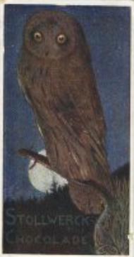 1900 Stollwerck Album 4 Gruppe 178 Aus der Vogelwelt (From the Bird World) #2 Die Eulen Front