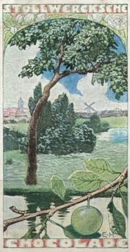 1902 Stollwerck Album 5 Gruppe 211 In- und auslandische fruchte (Domestic and foreign fruits) #1 Die Reineclaude Front