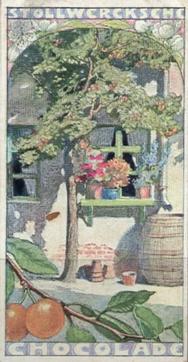 1902 Stollwerck Album 5 Gruppe 211 In- und auslandische fruchte (Domestic and foreign fruits) #2 Die Mirabelle Front