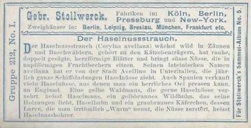 1902 Stollwerck Album 5 Gruppe 212 In- und auslandische Kulturgewachse (Domestic and foreign cultural growths) #1 Der Haselnussstrauch Back