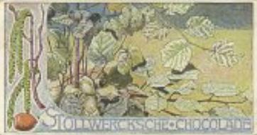 1902 Stollwerck Album 5 Gruppe 212 In- und auslandische Kulturgewachse (Domestic and foreign cultural growths) #1 Der Haselnussstrauch Front