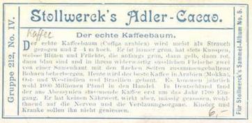 1902 Stollwerck Album 5 Gruppe 212 In- und auslandische Kulturgewachse (Domestic and foreign cultural growths) #4 Der echte Kaffeebaum Back
