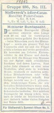 1902 Stollwerck Album 5 Gruppe 235 Kletter-Vogel (Climbing birds) #3 Mittlerer Buntspecht Back