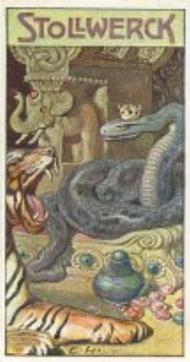 1906 Stollwerck Album 9 Gruppe 397 Die Schlange und das Affchen	(The Snake and the Monkey) #1 Der Palast der Konigsschlange Front