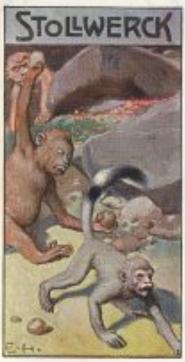 1906 Stollwerck Album 9 Gruppe 397 Die Schlange und das Affchen	(The Snake and the Monkey) #3 Bibidschinkas Wanderung Front