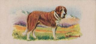 1929 Cowans Chocolates Dog Pictures (V13) #4 St. Bernard Front