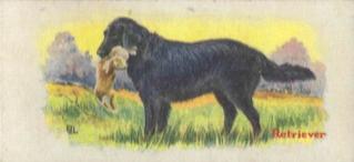 1929 Cowans Chocolates Dog Pictures (V13) #24 Retriever Front