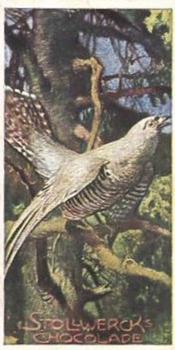 1903 Stollwerck Album 6 Gruppe 282 Climbing birds #4 Der Kuckuck Front
