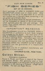 1900 Church & Co. Fish Series (J15) - Mini #4 Golden Shiner Back