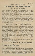 1900 Church & Co. Fish Series (J15) - Mini #12 Common Sucker Back