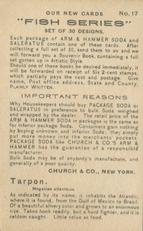 1900 Church & Co. Fish Series (J15) - Mini #17 Tarpon Back