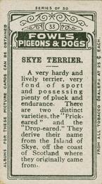 1911 Imperial Tobacco Fowls, Pigeons, & Dogs (C54) #33 Skye Terrier Back