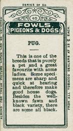 1911 Imperial Tobacco Fowls, Pigeons, & Dogs (C54) #40 Pug Back