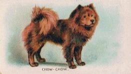 1911 Imperial Tobacco Fowls, Pigeons, & Dogs (C54) #41 Chow-Chow Front