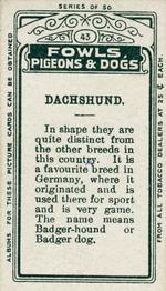 1911 Imperial Tobacco Fowls, Pigeons, & Dogs (C54) #43 Dachshund Back
