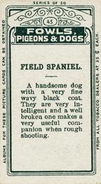 1911 Imperial Tobacco Fowls, Pigeons, & Dogs (C54) #45 Field Spaniel Back