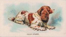 1911 Imperial Tobacco Fowls, Pigeons, & Dogs (C54) #45 Field Spaniel Front