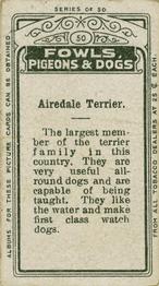 1911 Imperial Tobacco Fowls, Pigeons, & Dogs (C54) #50 Airedale Terrier Back