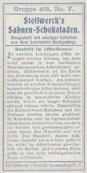 1910 Stollwerck Album 11 Gruppe 455 Predators and Monkeys #5 Mandrill Back