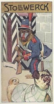 1910 Stollwerck Album 11 Gruppe 455 Predators and Monkeys #5 Mandrill Front