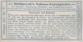 1910 Stollwerck Album 11 Gruppe 457 #5 Poitonesel Back