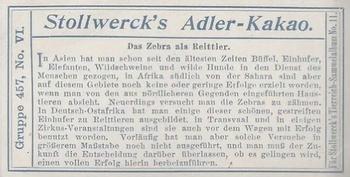 1910 Stollwerck Album 11 Gruppe 457 Donkey and Zebra #6 Das Zebra Back