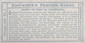 1910 Stollwerck Album 11 Gruppe 458 Pferde I #1 Maultier Back