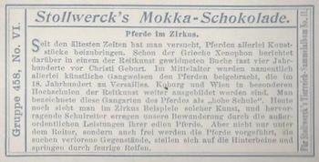1910 Stollwerck Album 11 Gruppe 458 Pferde I #6 Pferde Back