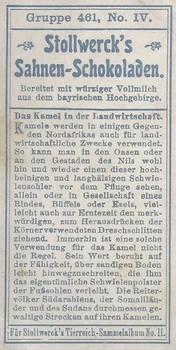 1910 Stollwerck Album 11 Gruppe 461 #4 Das Kamel Back
