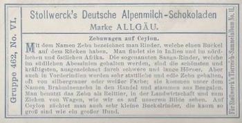 1910 Stollwerck Album 11 Gruppe 462 Cattle #6 Zebuwagen Back