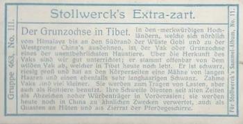 1910 Stollwerck Album 11 Gruppe 463 #3 Der Grunzochse Back