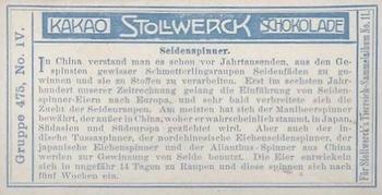 1910 Stollwerck Album 11 Gruppe 475 Insects #4 Seidenspinner Back