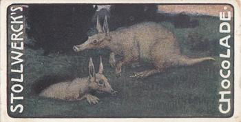 1903 Stollwerck Album 6 Gruppe 266 Grubbing animals #1 Aardvark Front