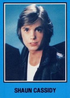 1979 Warner Brothers Records #29 Shaun Cassidy Front
