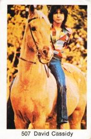 1974 Samlarsaker Popbilder (Swedish) #507 David Cassidy Front